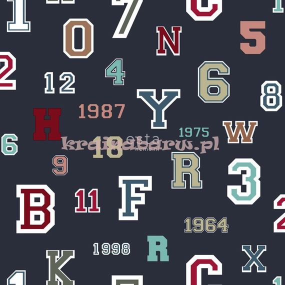 Tapeta 141-138833 College