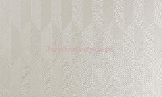 Tapeta geometryczna w szarobeżowych kolorach z wyczuwalną strukturą  i efektem 3D