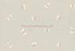 Tapeta 103/10035 Whimsical