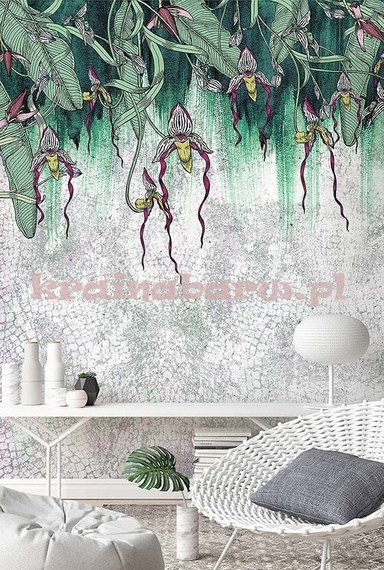 Fototapeta Pod tropikalnymi zwisającymi roślinami VANDA