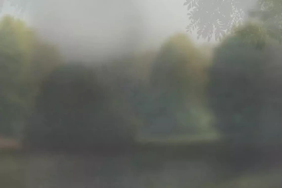 Fototapeta Glamora Wild