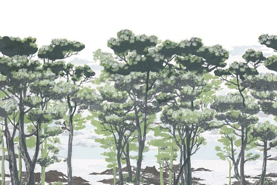 Fototapeta Zaczarowany Las II