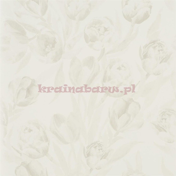 Tapeta PDG685/05 Marquisette