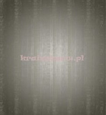 Tapeta MS14 Metalsilk