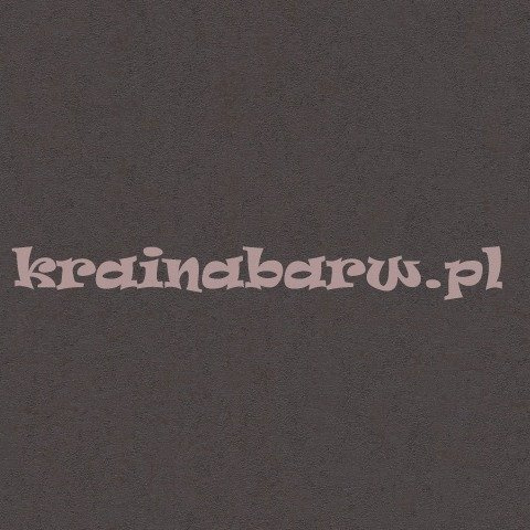 Ekskluzywna tapeta Versace IV czarne tło