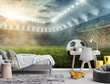 Fototapeta 14576 Stadion