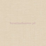 Tapeta G56417 Global Fusion