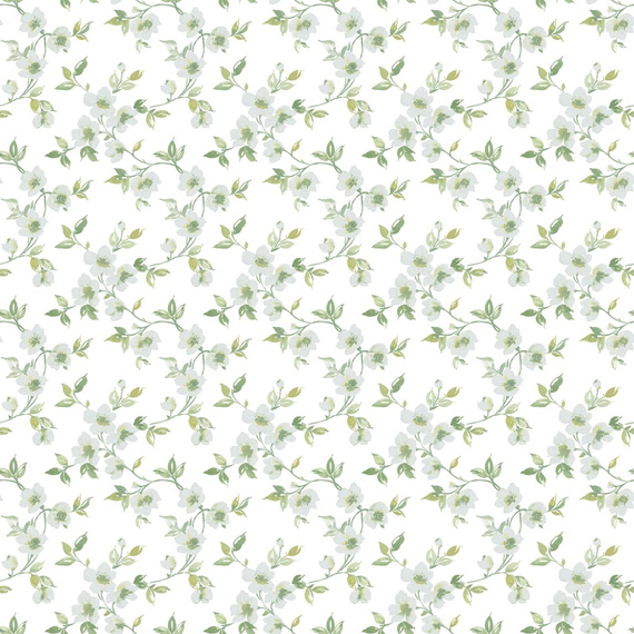 Tapeta Galerie G78483 kwiatki