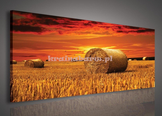 Obraz na płótnie PP225 Bale słomy