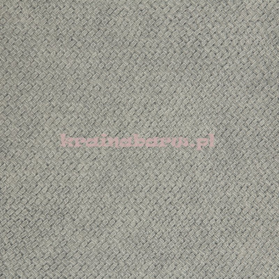 Tapeta Cesto 04 Lizzo Legend