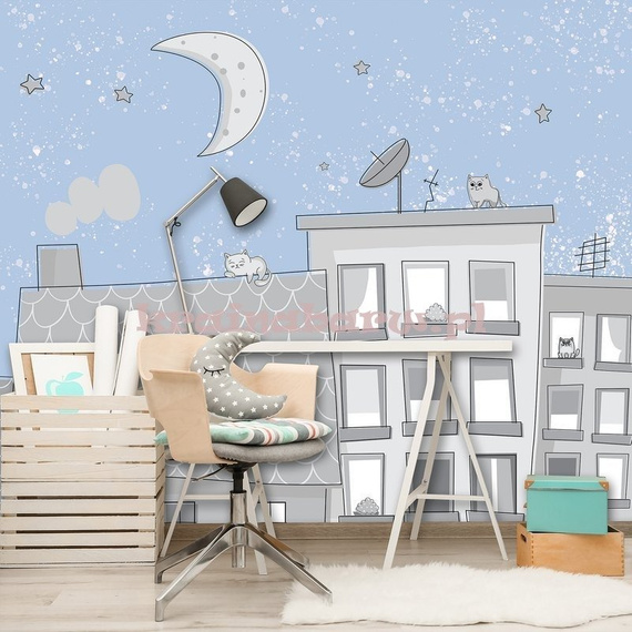 Fototapeta 13527 Nocne Koty