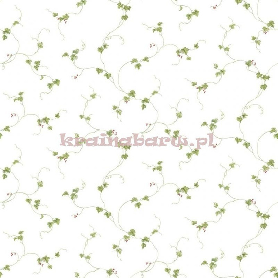 Tapeta z klejem FK34438 Fresh Kitchens 5