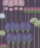 Tapeta 115/12036 Allium Kwitnące kwiaty na ciemno fioletowym tle