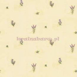 Tapeta z klejem KV27429 Fresh Kitchens 5