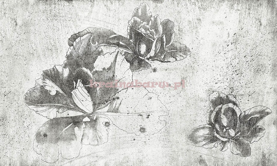 Nowoczesna fototapeta Trzy kwiaty Laura I