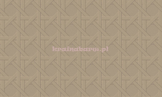 Luksusowa tapeta geometryczna 3D przeplatane linie w beżu