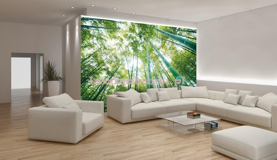 Fototapeta na flizelinie 150VE Consalnet