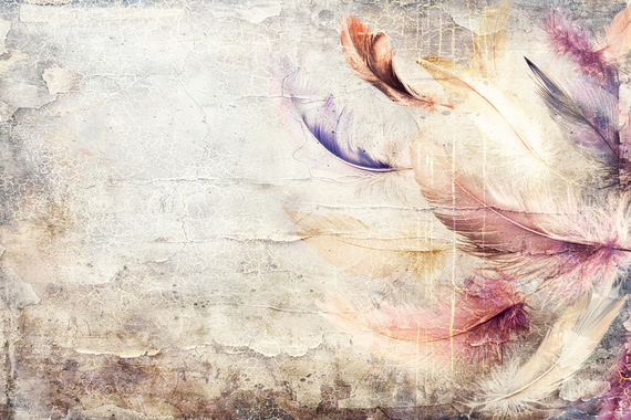 Fototapeta Lekkie piora z teksturą 19