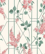 Tapeta 115/5012 Wisteria pnące kwiaty koralowe na kremowym tle