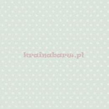 Tapeta 100/7032 Victorian Star
