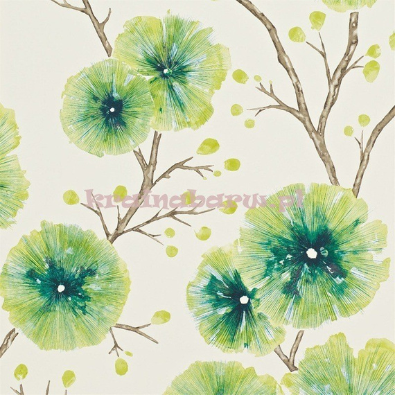 Tapeta 111082 Amazilia