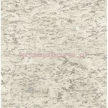 Tapeta SG41808 Sage II