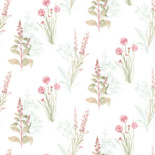 Tapeta Galerie AF42442 rośliny polne