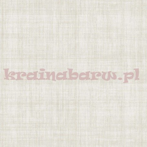 Tapeta papierowa WMA ST080901 Stark