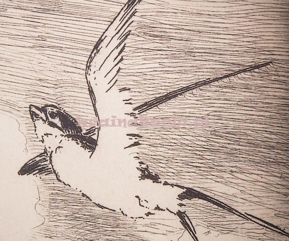 Panel 366101 Geonature