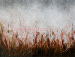 Fototapeta Tosca Rust