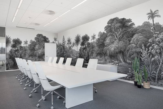 Fototapeta Jungle Land