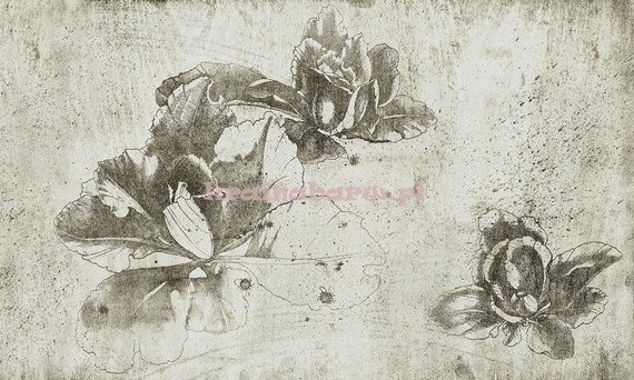 Nowoczesna fototapeta Trzy kwiaty Laura I