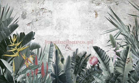 Fototapeta Tropikalne duże liście i kwiaty  PARADISE I