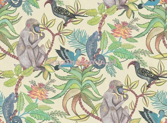 Tapeta 109/1007 Ardmore