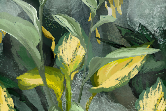 Fototapeta Kompozycja Egzotycznych Liści