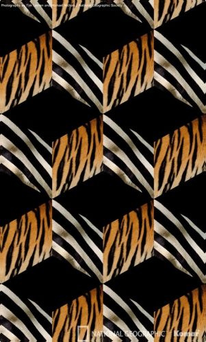 Fototapeta  2-509OpArt  lamparcie cętki, pasy zebry