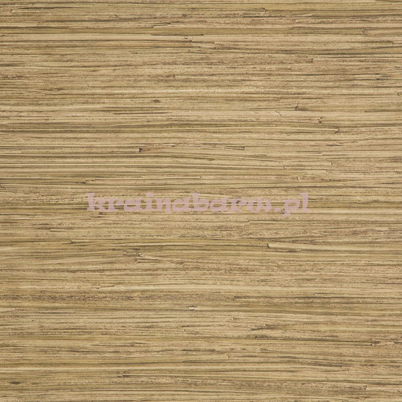 Tapeta Enea 05 Lizzo Legend