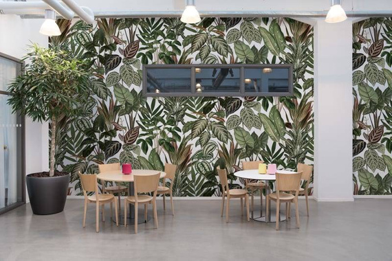 Fototapeta Ukryte Psotne Małpki