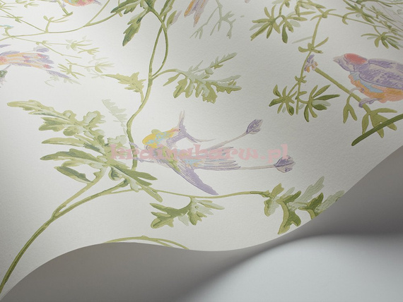 Tapeta 100/14067 Hummingbirds