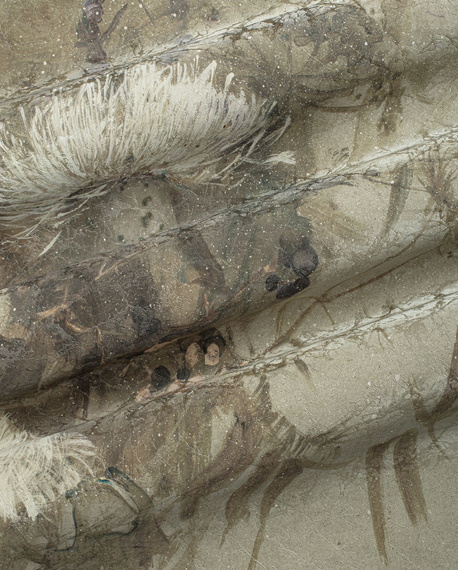 Fototapeta artystyczna Madlen kwiaty