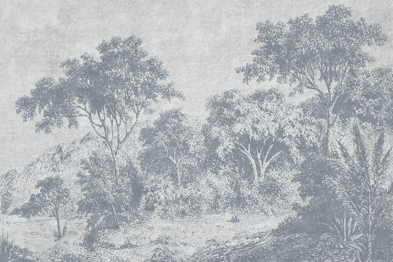 Fototapeta Wspomnienie Lasu