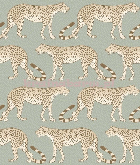 Tapeta 109/2009 Ardmore