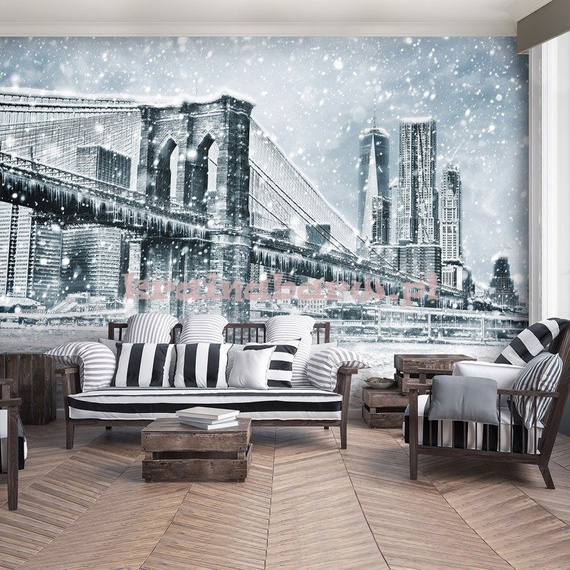 Fototapeta 13321 Nowy York Zimą