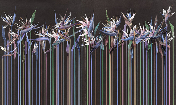  Nowoczesna fototapeta kolorowe kwiaty Annabel