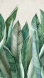 Tapeta Mural Bananier A39501