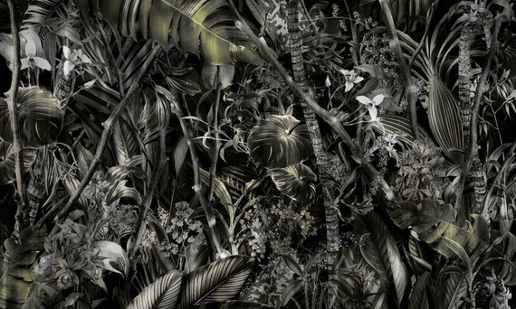 Tapeta Artystyczna Amazonia