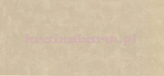 Tapeta DV53097 Fifties