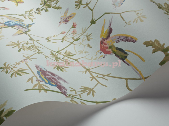 Tapeta 100/14069 Hummingbirds