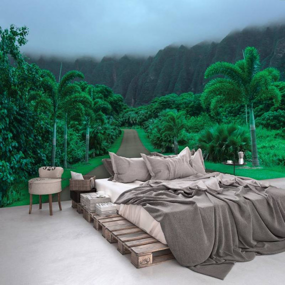 Fototapeta 13988 - Krajobraz Natury Droga na Hawajach