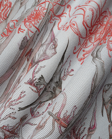 Fototapeta artystyczna Reef rybki rafa